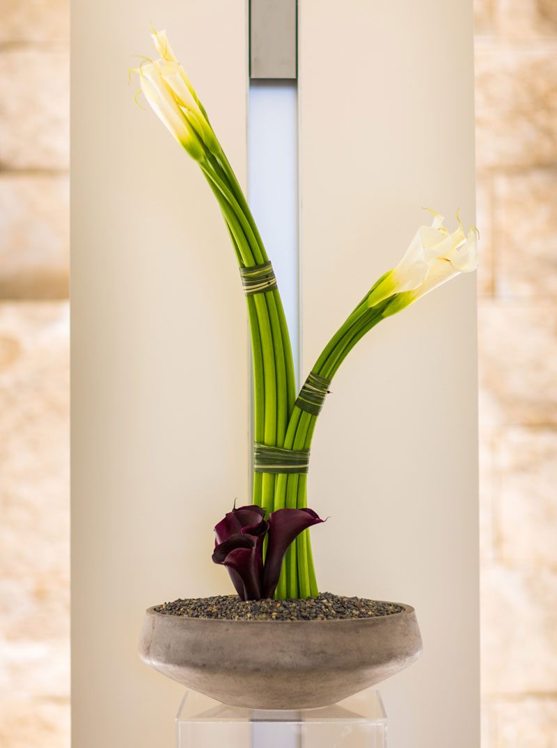 Alexis & David wedding