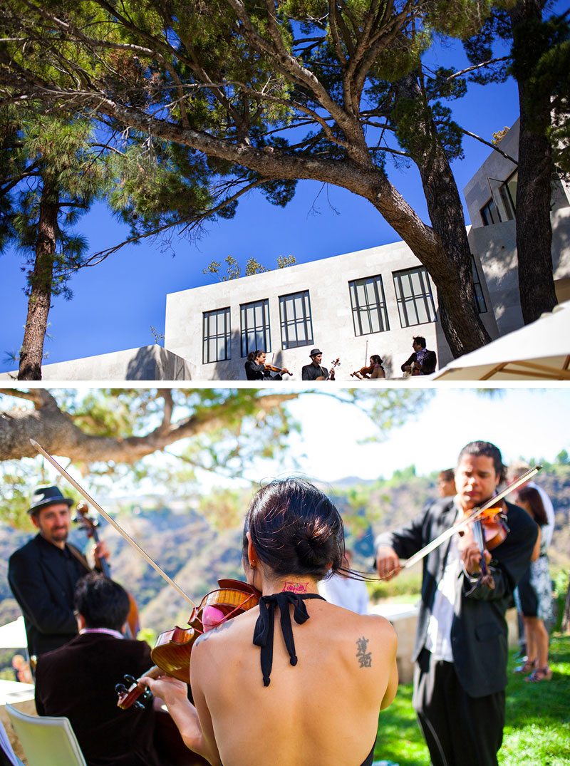 Alexis & David wedding