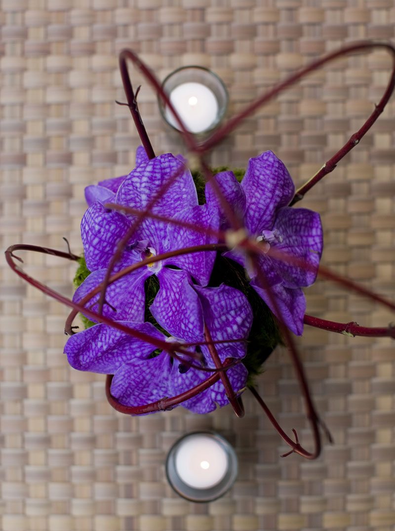 LACMA Cocktail Party